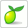 Limesurvey Web Hosting
