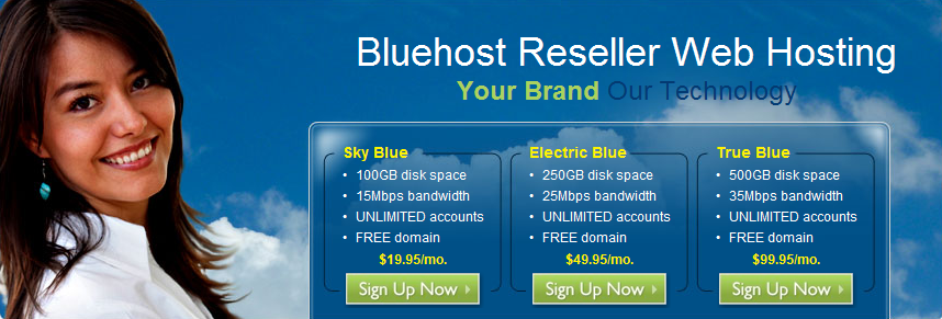 Bluehost Reseller Web Hosting