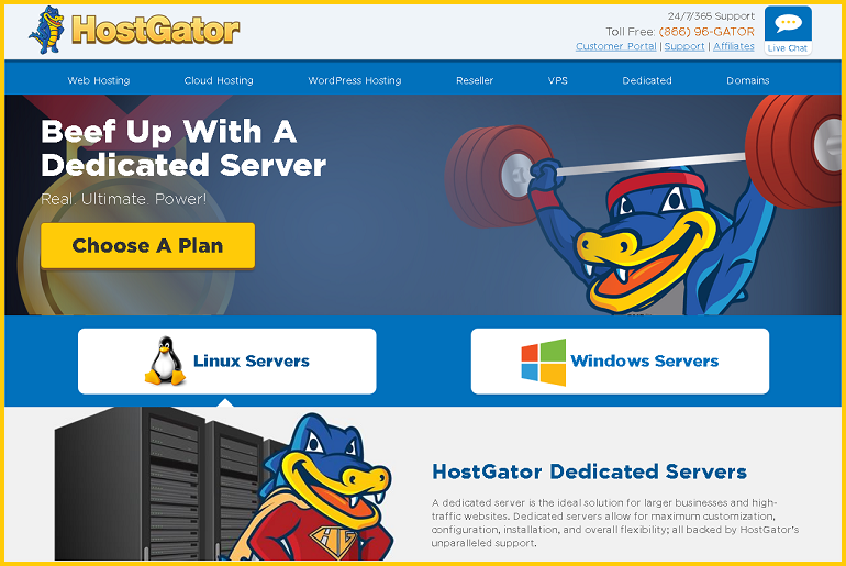 dedicated web hosting service